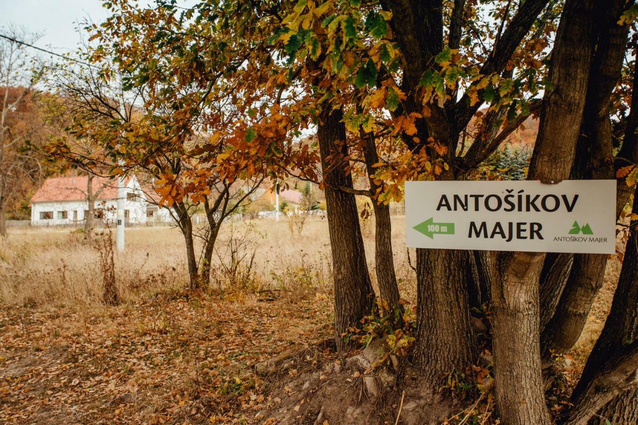 Antosikov Majer Pensionat Banská Štiavnica Eksteriør billede